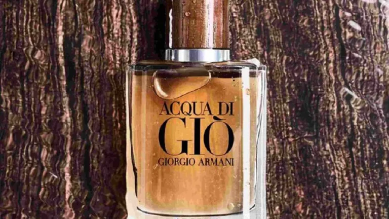 Soldes Acqua Di Gio Absolu